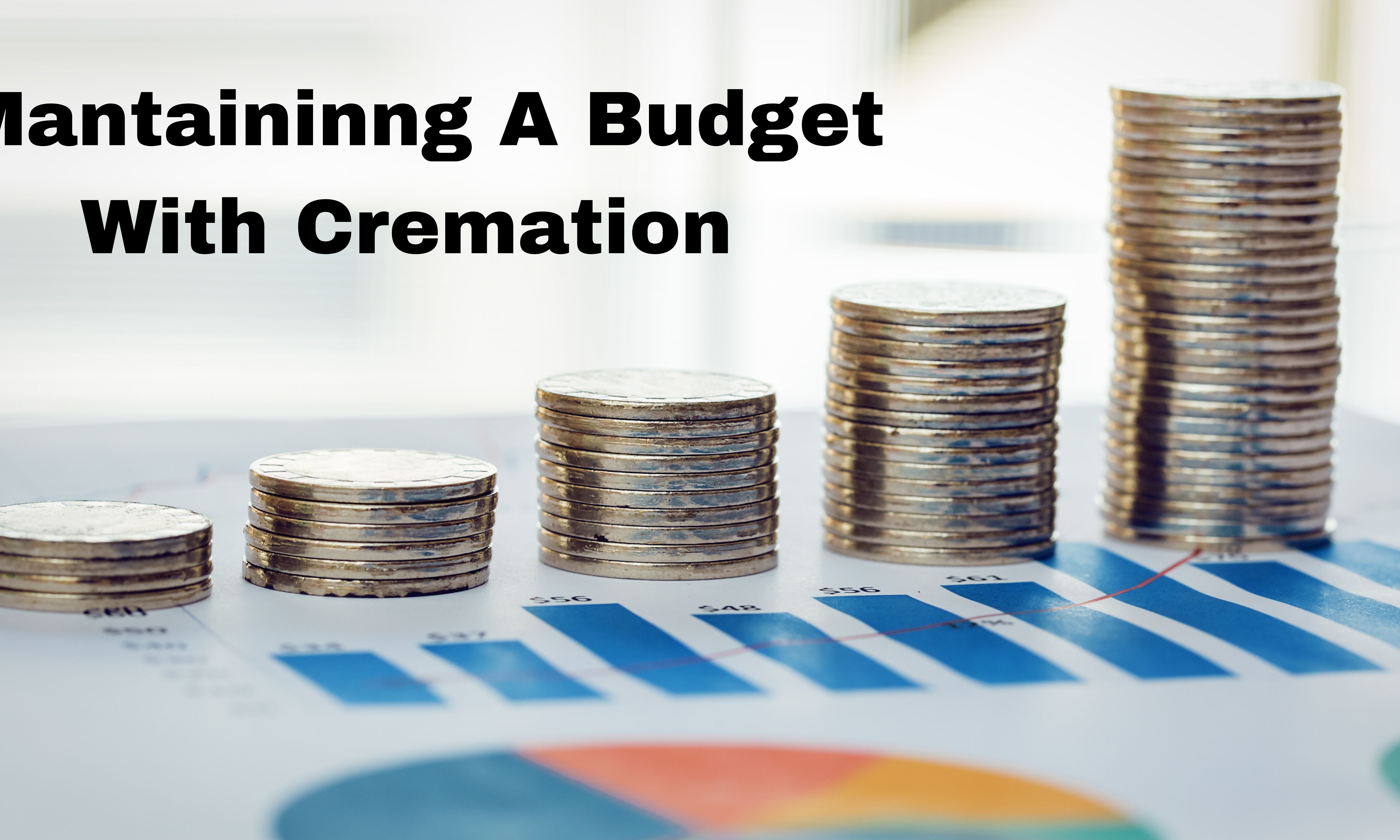 Quarters stacked into 5 vertical piles to mimic a graph. "Maintaining a Budget with Cremation".