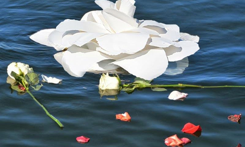 A Memoir of Jamie Cambron Moss | Jamie's Legacy | In the Light Urns