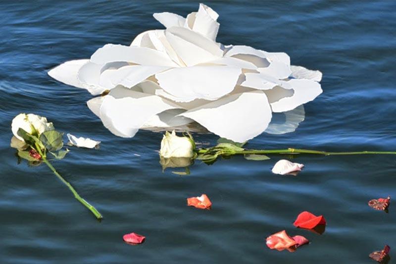 A Memoir of Jamie Cambron Moss | Jamie's Legacy | In the Light Urns