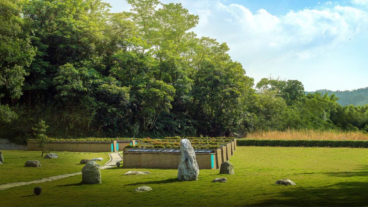 Green burial area within an open field between the forest.