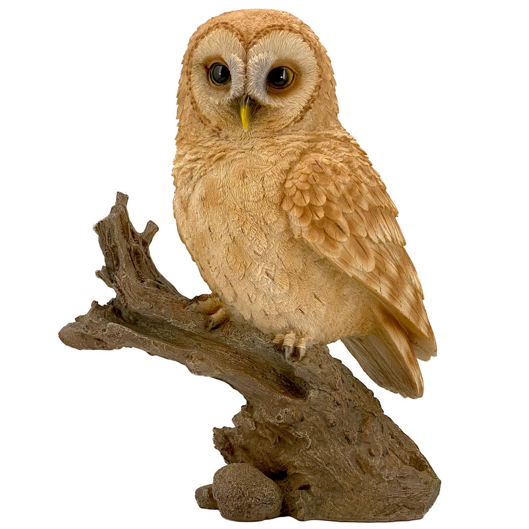 Barn Owl Art & Wood Cremation Urn Adult or Medium