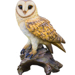 Barn Owl Art & Wood Cremation Urn Adult or Medium