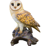 Barn Owl Art & Wood Cremation Urn Adult or Medium