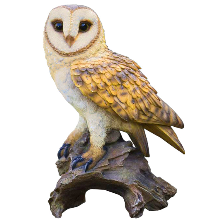 Barn Owl Art & Wood Cremation Urn Adult or Medium