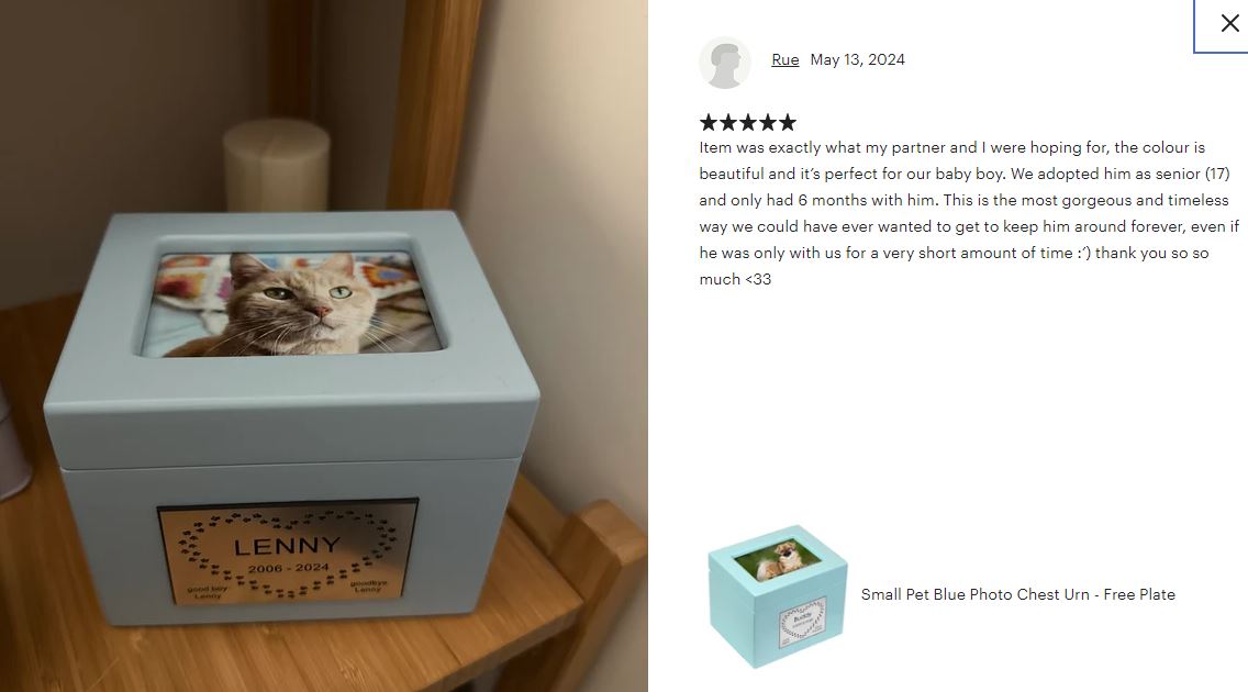 Small Pet Blue Photo Chest Urn - Free Plate