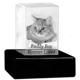 Cat Memorial Urn & Crystal Rectangle Set - Pet Cremation Crystal Urn