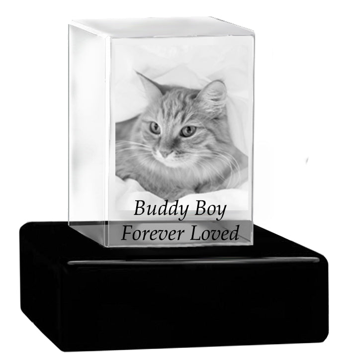 Cat Memorial Urn & Crystal Rectangle Set - Pet Cremation Crystal Urn