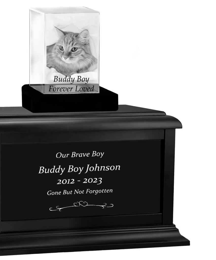 Cat Memorial Urn & Crystal Rectangle Set - Pet Cremation Crystal Urn