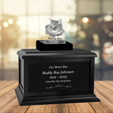 Cat Memorial Urn & Crystal Rectangle Set - Pet Cremation Crystal Urn