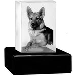 Pet Wood Memorial Urn & Crystal Rectangle Set - Dog or Cat Cremation Crystal Urn