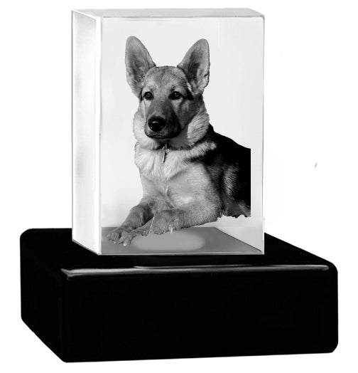 Pet Wood Memorial Urn & Crystal Rectangle Set - Dog or Cat Cremation Crystal Urn