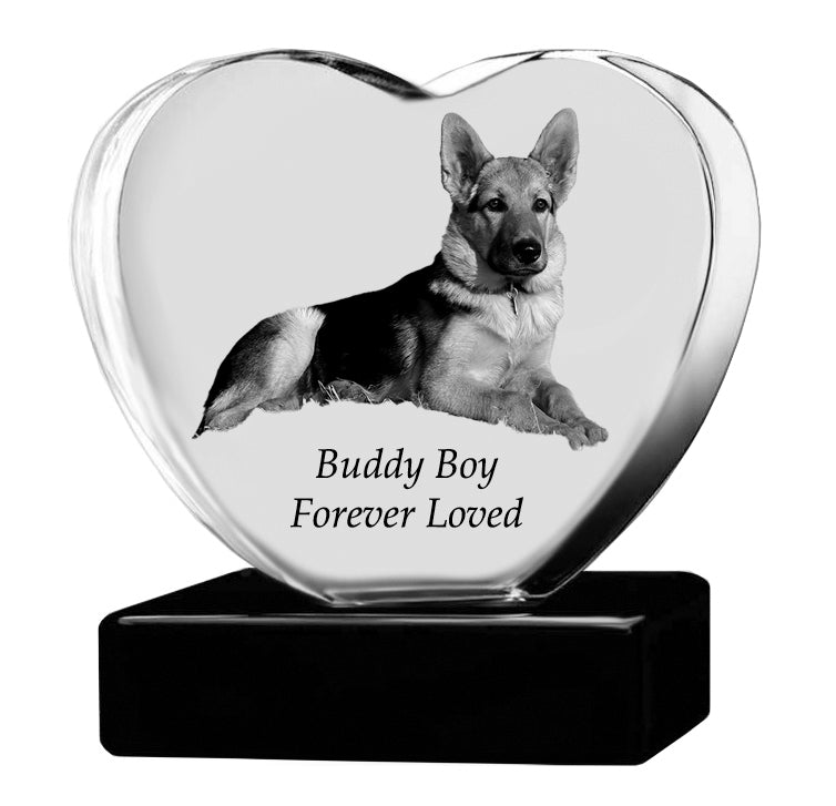 Dog Memorial Urn & Crystal Heart Set - Pet Heart Crystal Urn