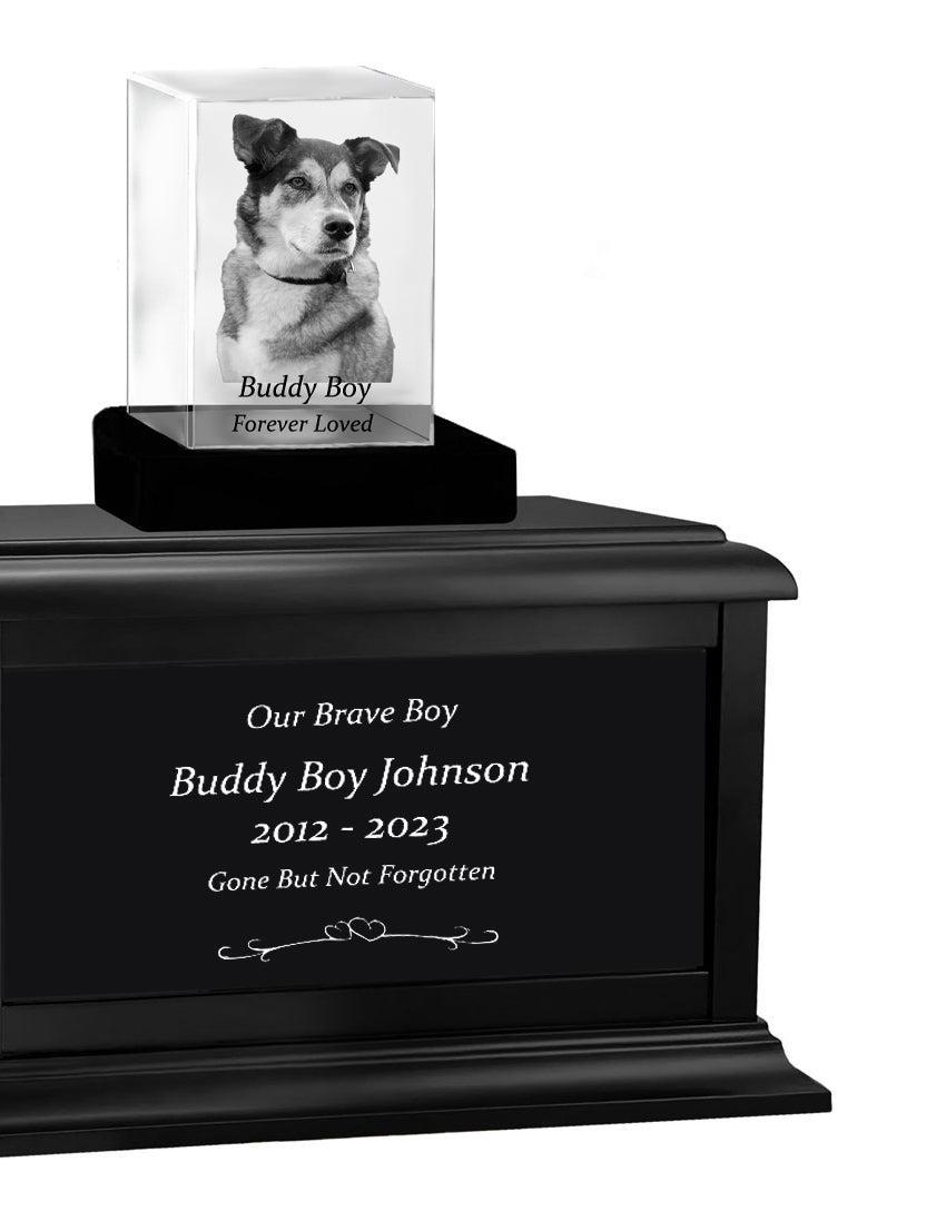 Dog Memorial Urn & Crystal Rectangle Set - Pet Cremation Crystal Urn