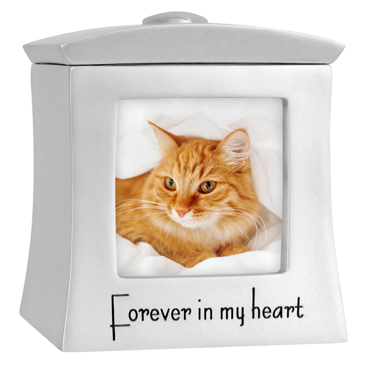 Cat Photo Forever In My Heart Keepsake Urn - Professional Engraving Option