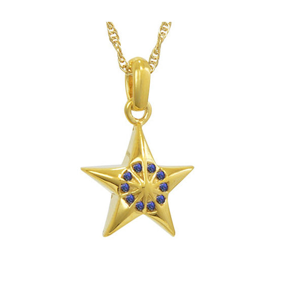 Twinkle Little Star Gold Urn Blue or Clear Crystals - Love Charms™ Option 