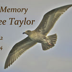 in-memory-keychain-urn-image