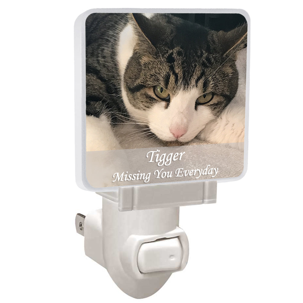Memorial Photo Night Light - 2 Lines of Personalization