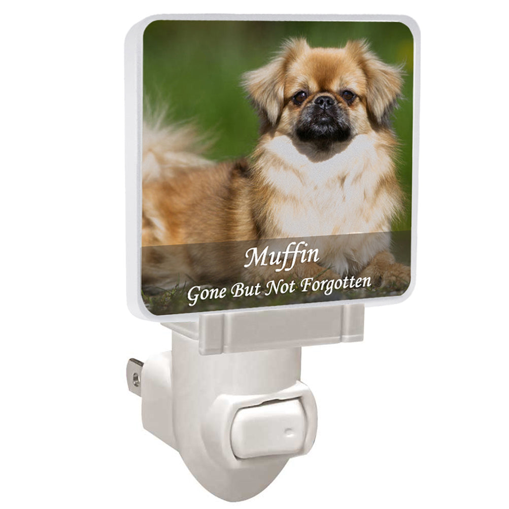 Personalized Photo Night Light - Photo & Imprinting