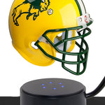 North Dakota State University