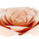 Peach Peaceful Petal® Flower Water Burial Adult Urn - Blue Butterfly Option