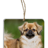 Memorial Photo Ornament - 2 Lines of Personalization