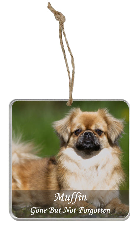Memorial Photo Ornament - 2 Lines of Personalization