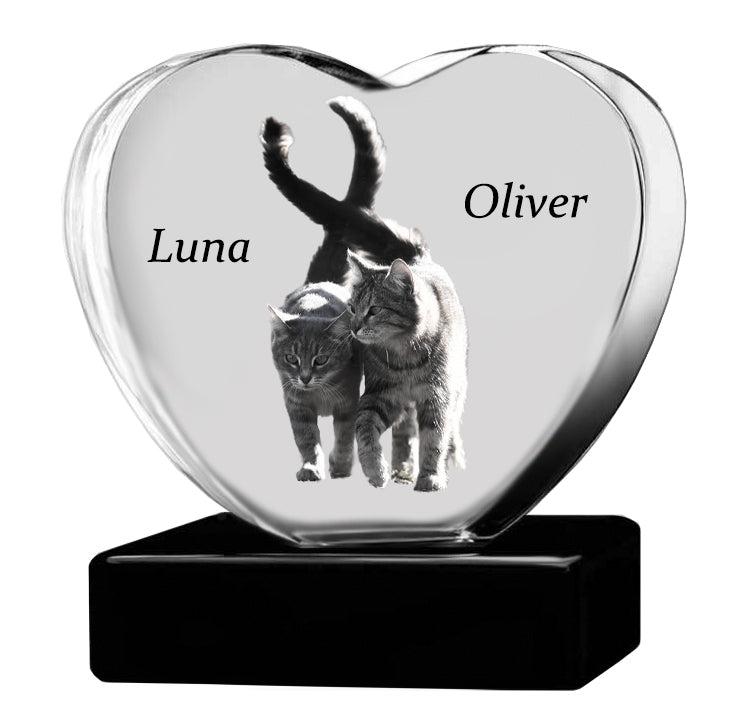 Cat Memorial Urn & Crystal Heart Set - Pet Heart Crystal Urn