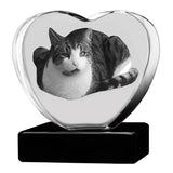 Pet Memorial White Urn & 3D Crystal Heart Set