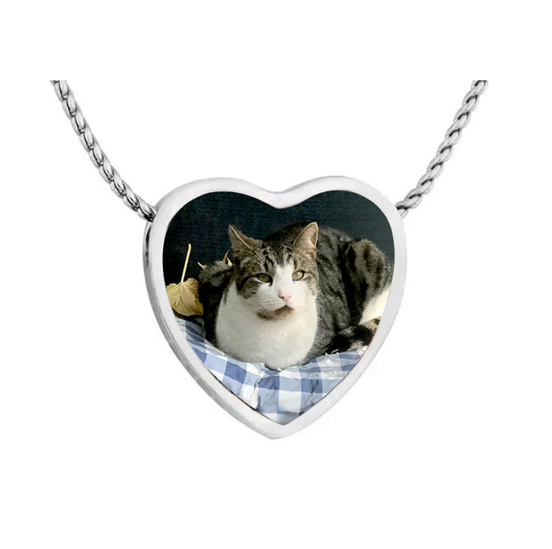 Color Photo Pet Slider Heart Jewelry Urn Pendant - Love Charms® Option