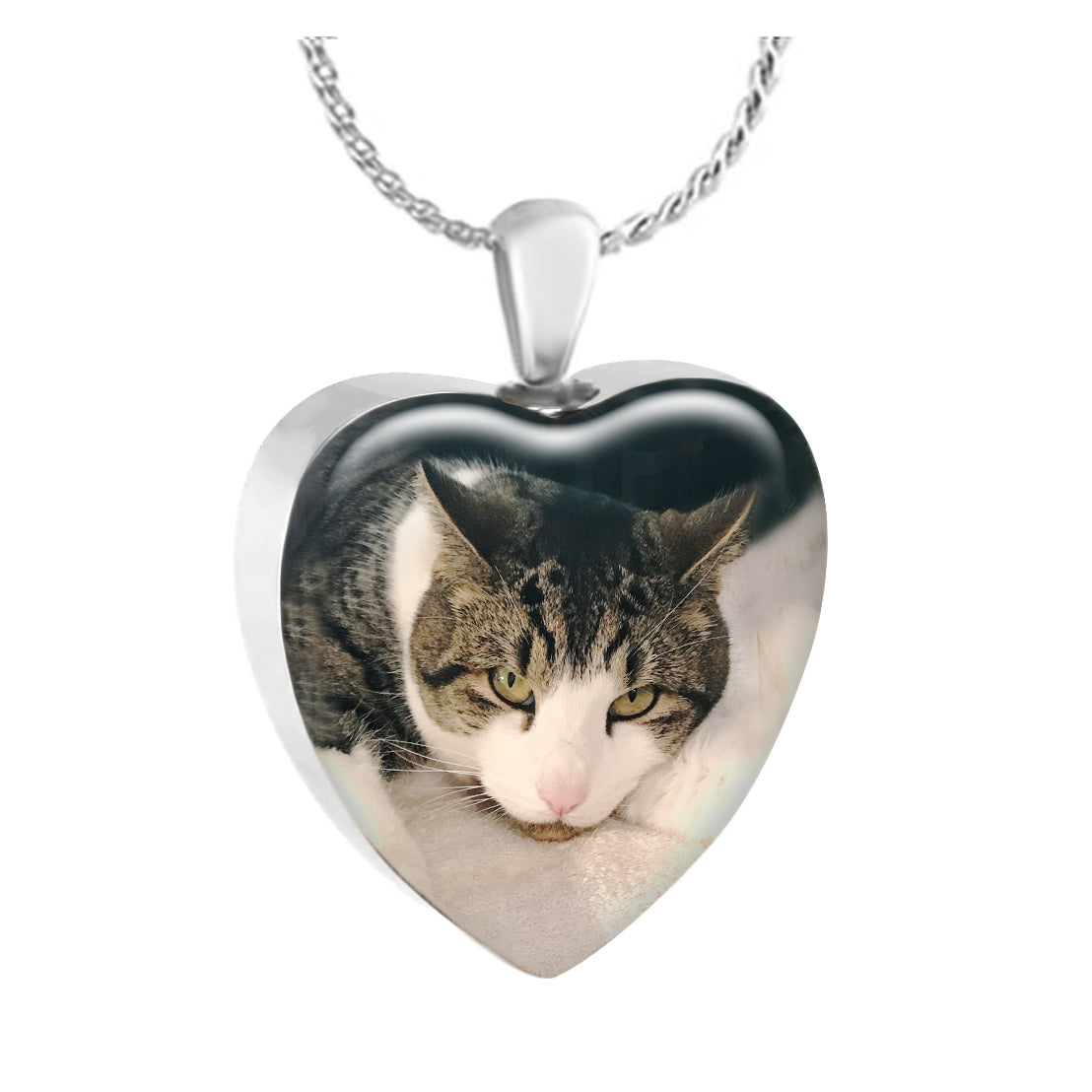 Pet Color Photo Pendant Heart Jewelry Ashes Urn - Love Charms® Option 