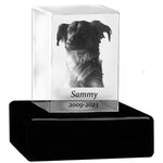 Dog Memorial Urn & Crystal Rectangle Set - Pet Cremation Crystal Urn