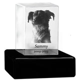 Dog Memorial Urn & Crystal Rectangle Set - Pet Cremation Crystal Urn