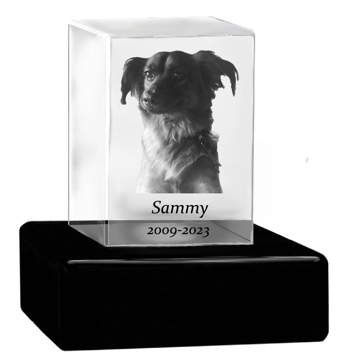 Dog Memorial Urn & Crystal Rectangle Set - Pet Cremation Crystal Urn