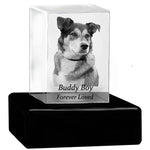 Dog Memorial Urn & Crystal Rectangle Set - Pet Cremation Crystal Urn