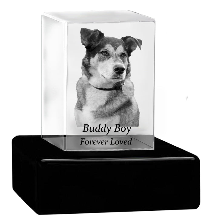 Dog Memorial Urn & Crystal Rectangle Set - Pet Cremation Crystal Urn