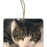 Memorial Photo Ornament - 2 Lines of Personalization