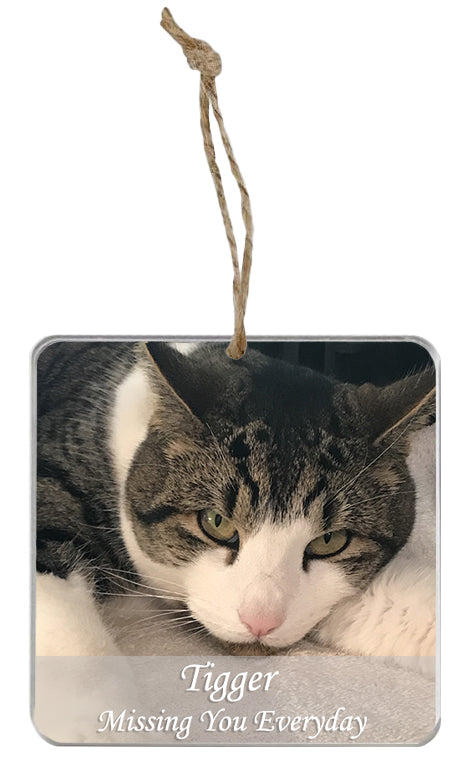 Memorial Photo Ornament - 2 Lines of Personalization