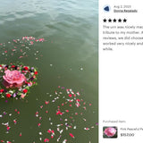 Pink Peaceful Petal® Flower Water Burial Adult or Companion Urn - Blue Butterfly Option