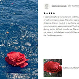Red Peaceful Petal® Flower Water Burial Adult or Companion Urn - Blue Butterfly Option