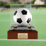 Soccer Ball Case Memorial Urn - AUTOGRAPH SOCCER BALL