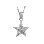 Twinkle Little Star Urn Necklace - Love Charms™ Option