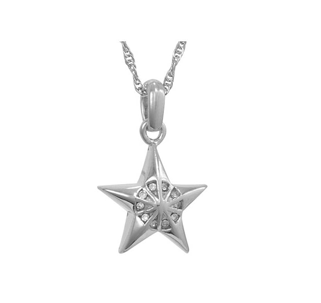 Twinkle Little Star Urn Necklace - Love Charms™ Option