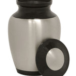Dinosaur Shared Cremation Urn