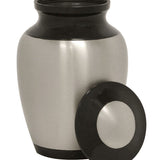 Dinosaur Child Cremation Urn