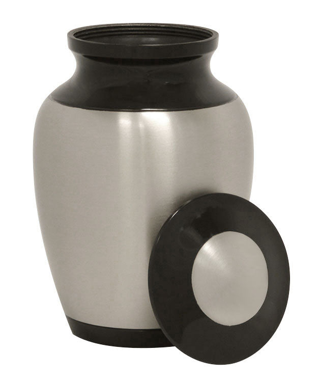 Dinosaur Child Cremation Urn