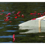 Rainbow Peaceful Pillow® Water Burial Cremation Urn - Burial At Sea Urn - Wide River Urn