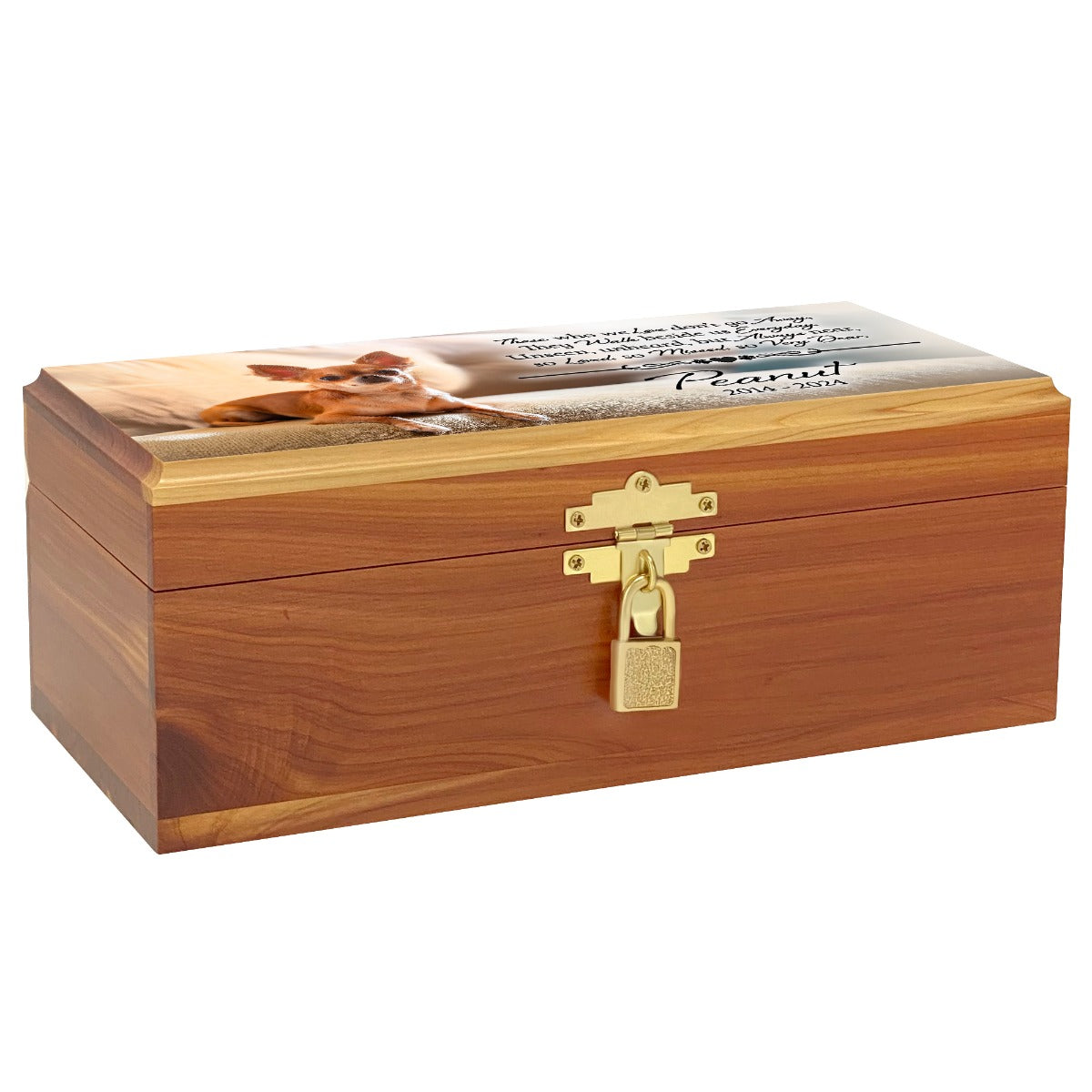 Small Dog or Cat Cedar Locking Full Photo Urn - Free Personalization